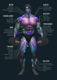 Anatomy & Physiology